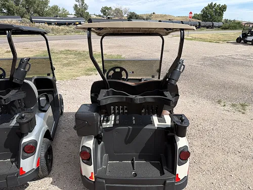 2027 E-Z-GO RXV Gas EFI