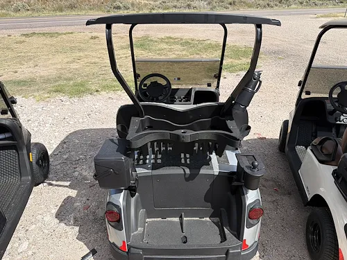 2027 E-Z-GO RXV Gas EFI