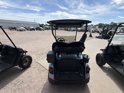 2027 E-Z-GO RXV EFI Gas