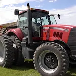 2009 CASE IH MAGNUM 215